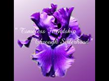 A flower with the words 'Timeless Friendship through Sisterhood'