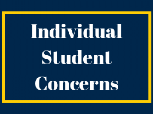 text: Individual Student Concerns